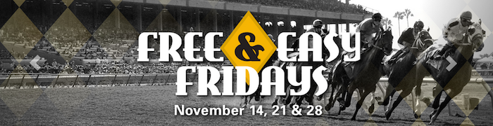 dmtc bing season free fridays